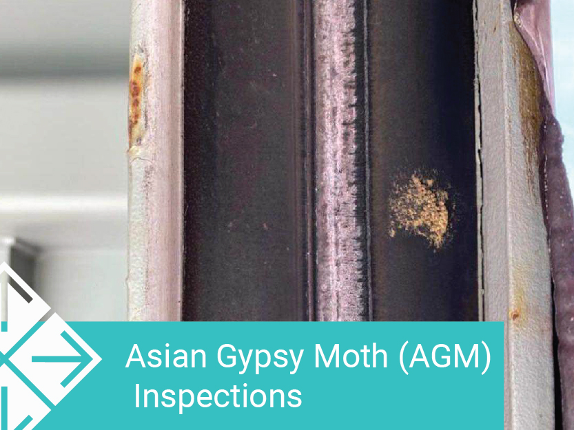 Asian Gypsy Moth (AGM) Inspections